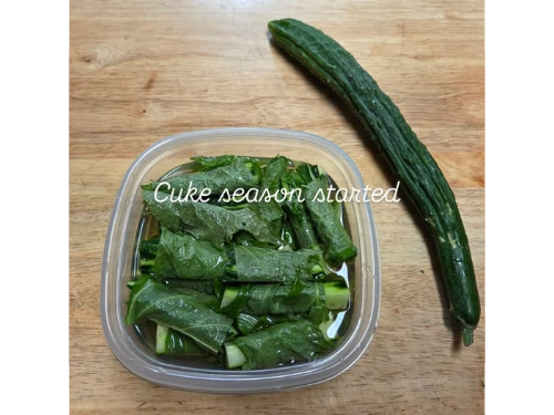 Shiso Cucumbers Image / キュウリとしそのおつけもん 画像